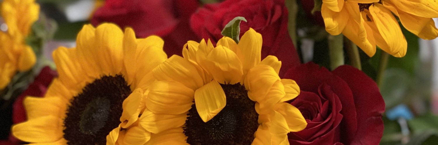 alee_arianaa's profile banner image