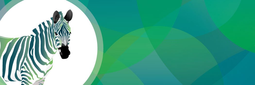 BMSScpas's profile banner image