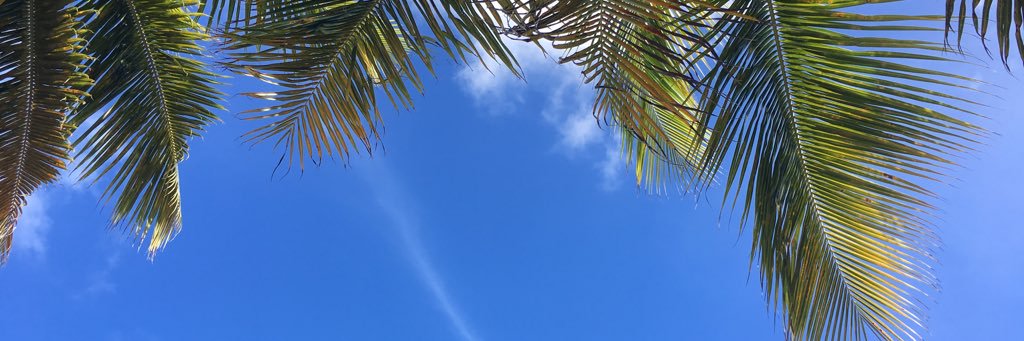 _T_Dee's profile banner image