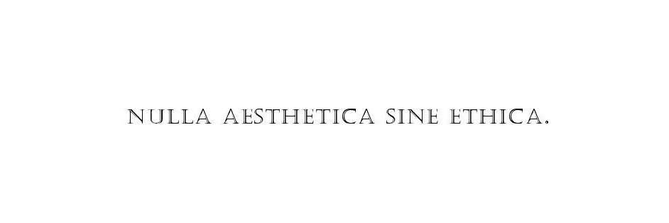 nitristeniserio's profile banner image