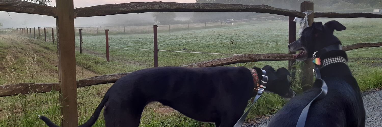 GaryCook8's profile banner image