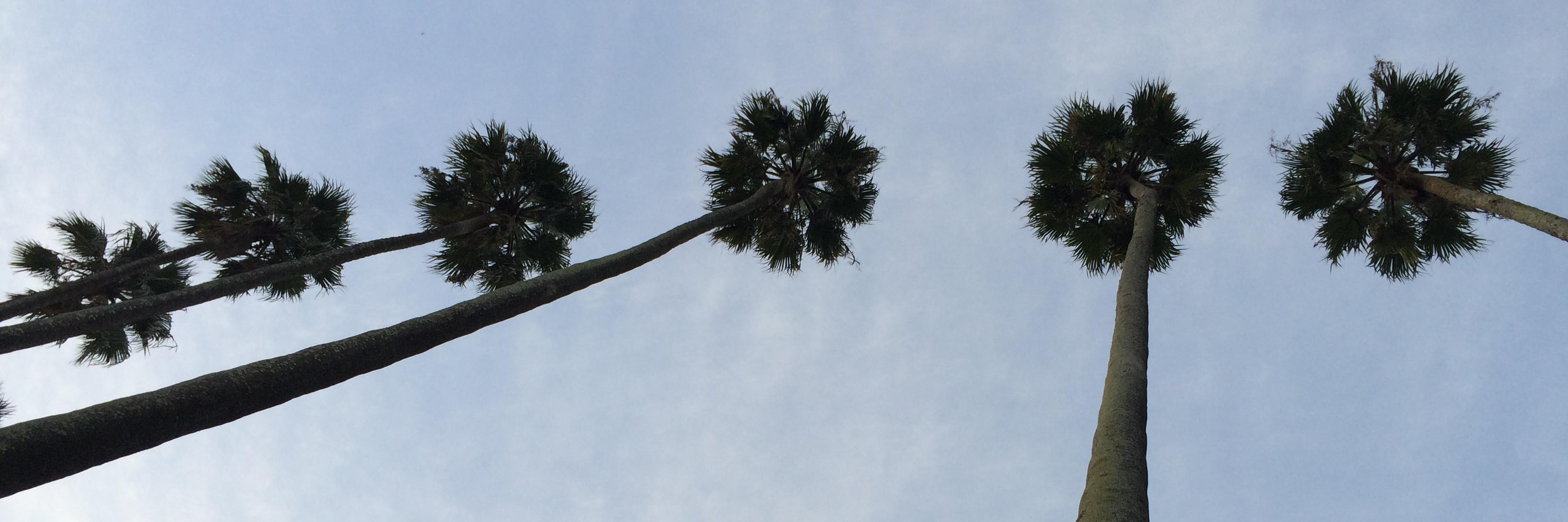 Duranton François banner