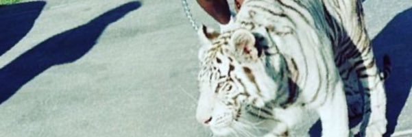 RussGreen1's profile banner image