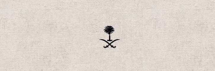 raalz231's profile banner image