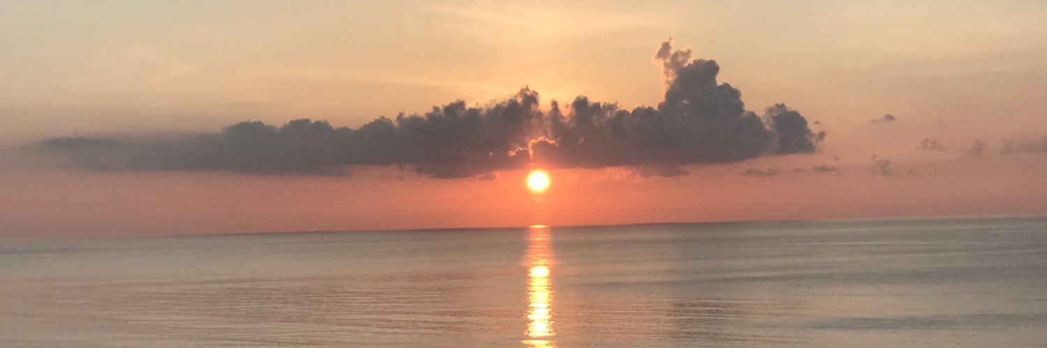 KSMcDaniel's profile banner image