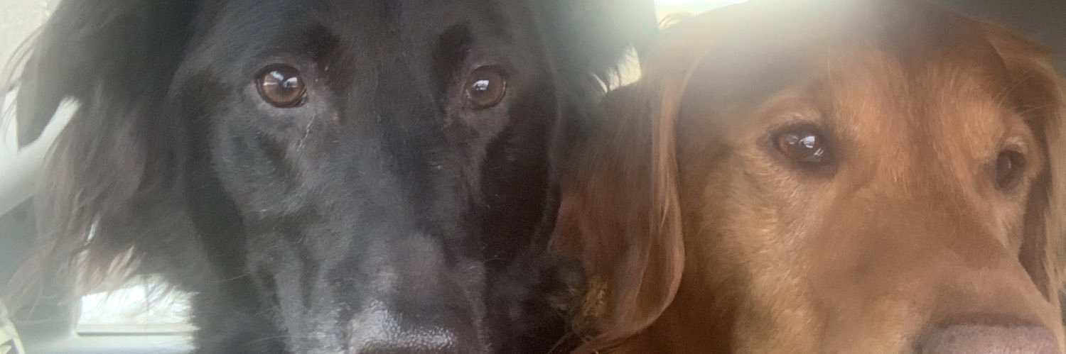 Muskieschaef's profile banner image