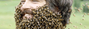 GreeningTheApoc's profile banner image