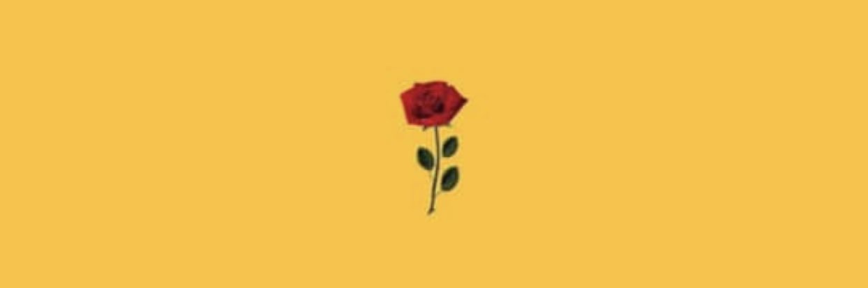 _MernaSaidSo's profile banner image