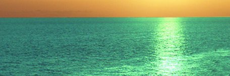 SCLColeman's profile banner image