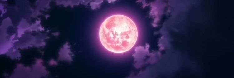 RogueAshbe's profile banner image