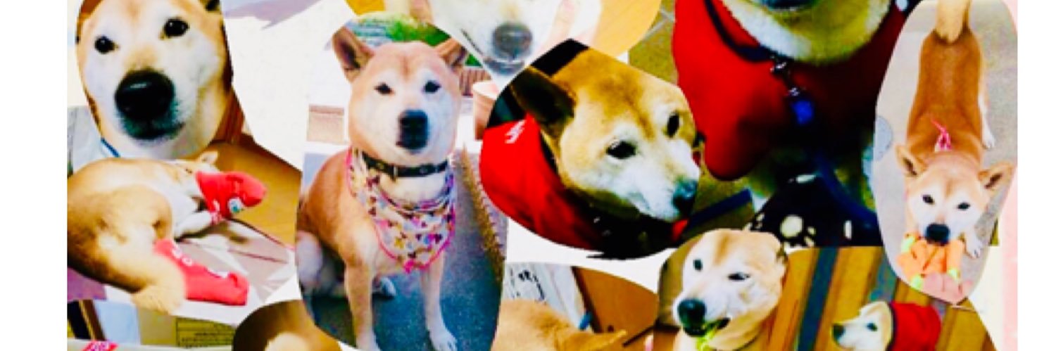 _nonayanon's profile banner image