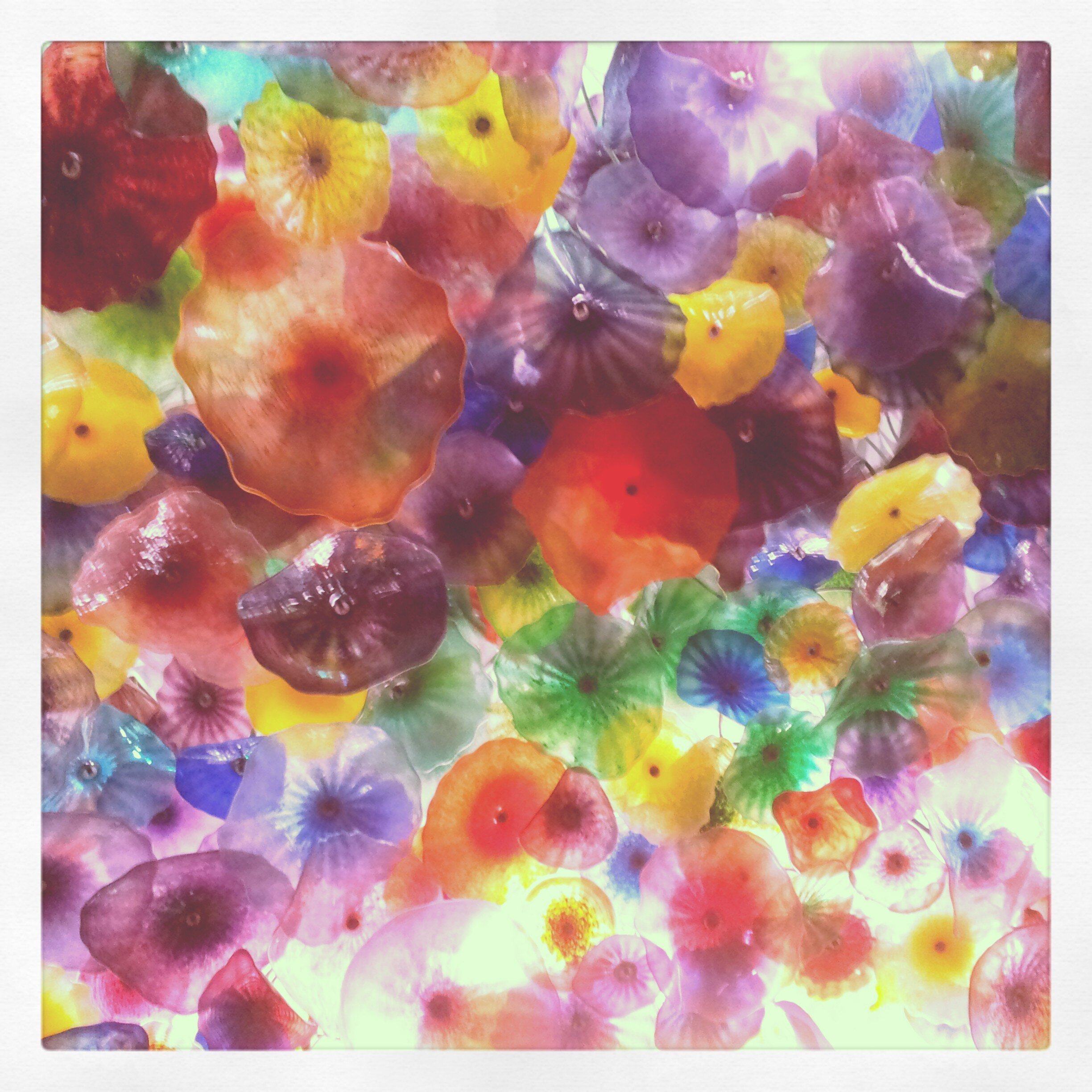 Hardyfuzz's profile banner image