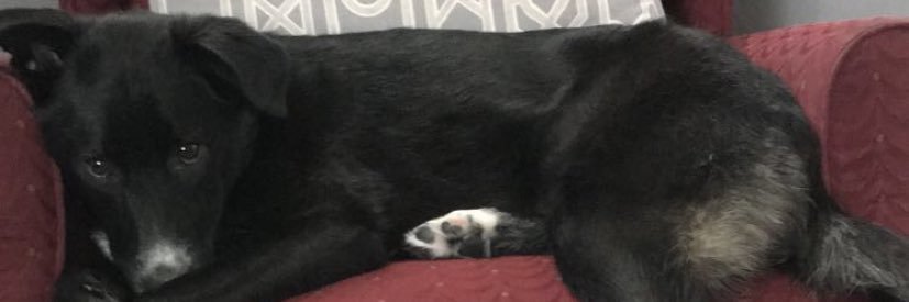 realKayP's profile banner image