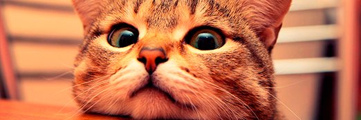 antifachosCL's profile banner image