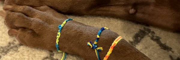 mwithrow02 Profile Banner