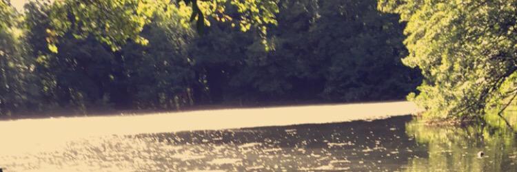 SkyeChenille's profile banner image