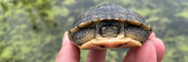 DiscoverMCCD Profile Banner