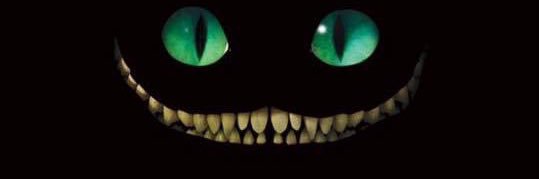 Cláudia Pace banner