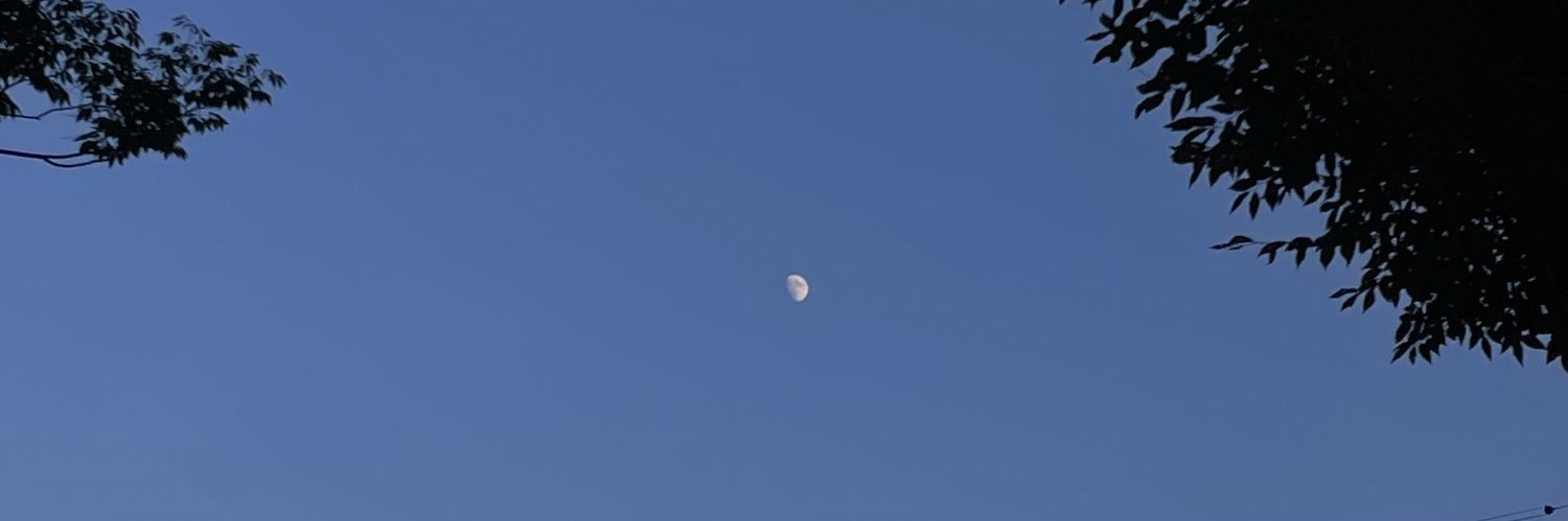 𝒔𝒆𝒊𝒏𝒂 banner