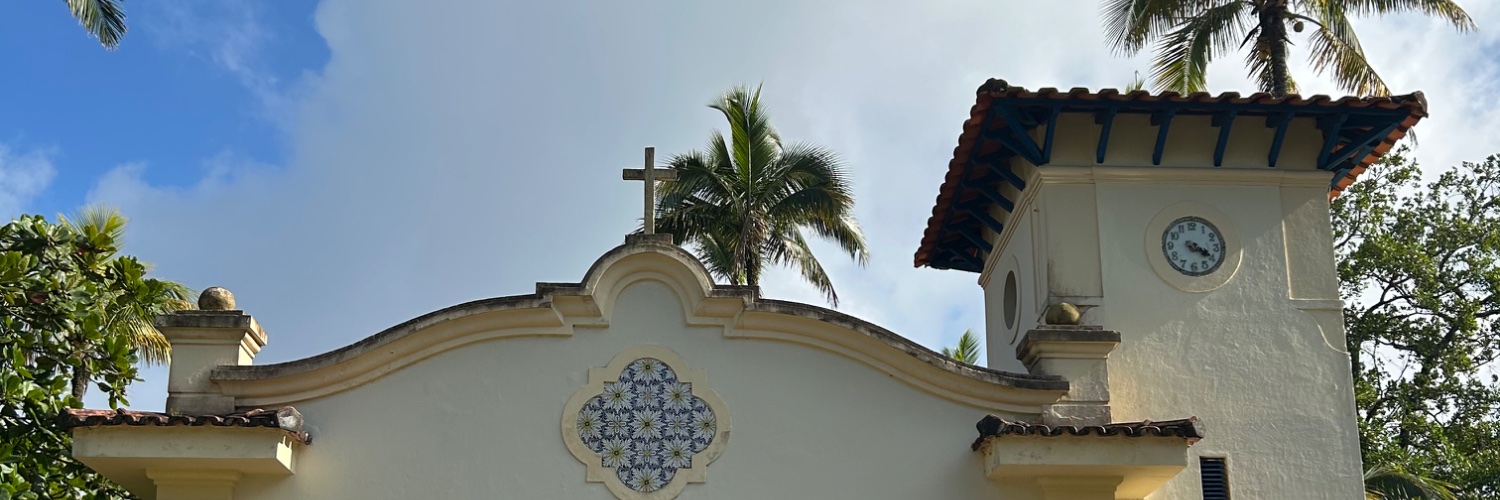 deb banner