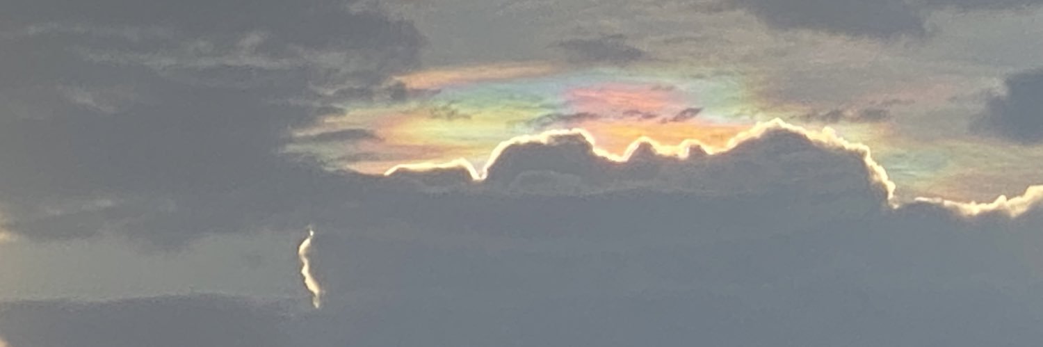 🖋️ أبو محمد النمازي banner