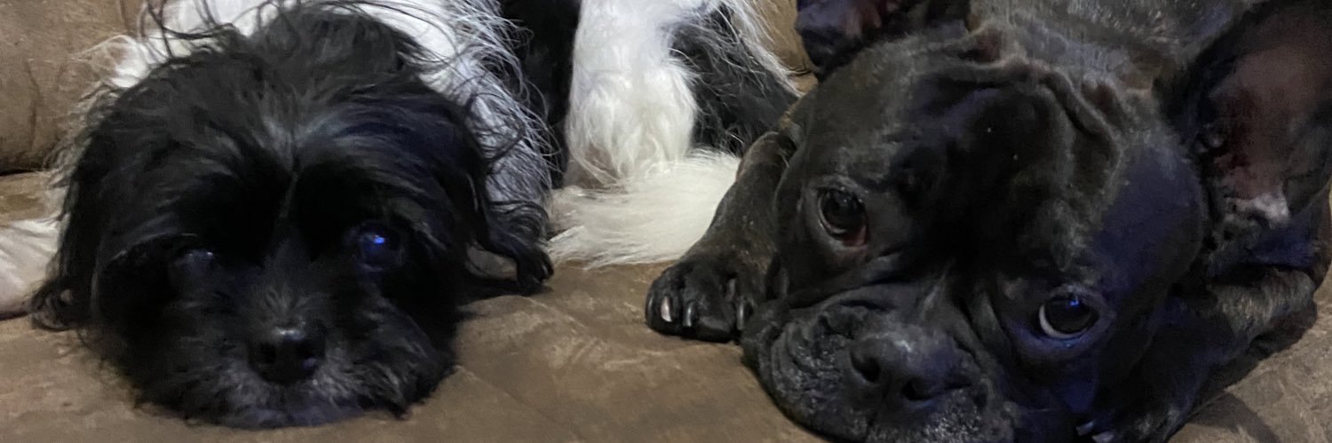 JuuhMol's profile banner image