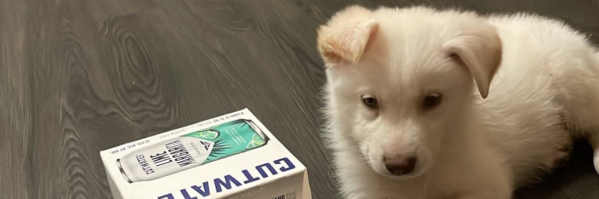 Dajamalandro's profile banner image