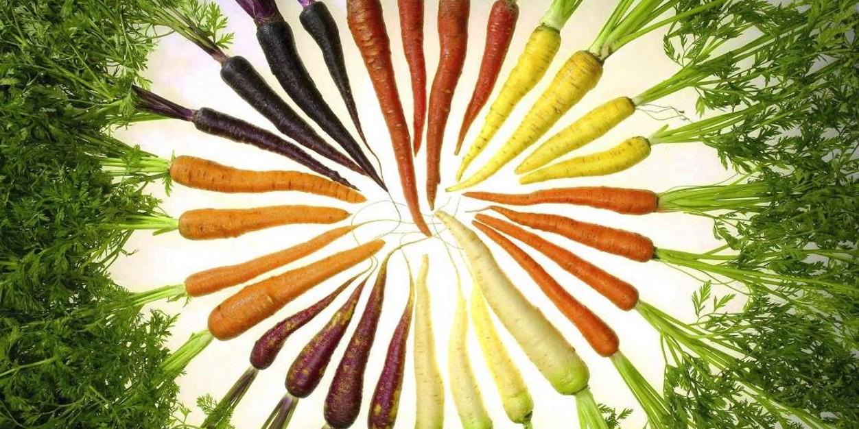 ArgVegetarianos's profile banner image