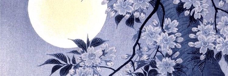 manoops's profile banner image