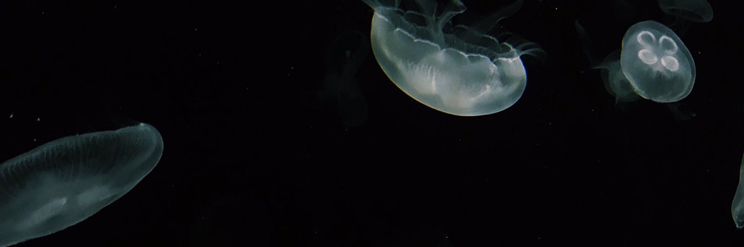 manatea_87's profile banner image