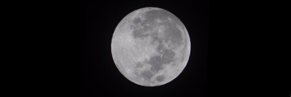 AliCollins5's profile banner image