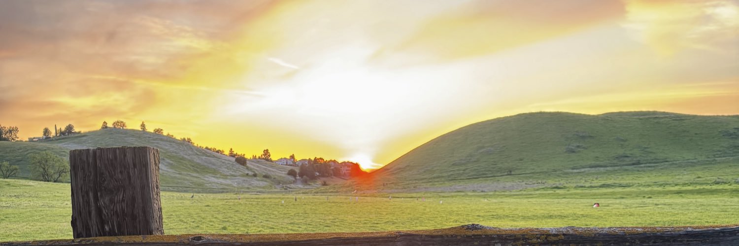 LizzySmith85's profile banner image