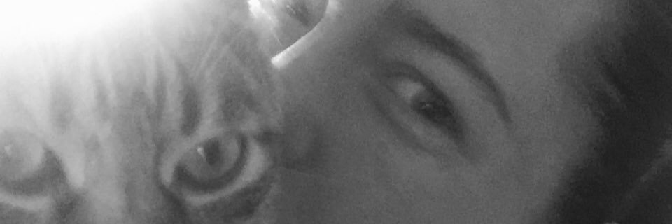 Evutxa's profile banner image