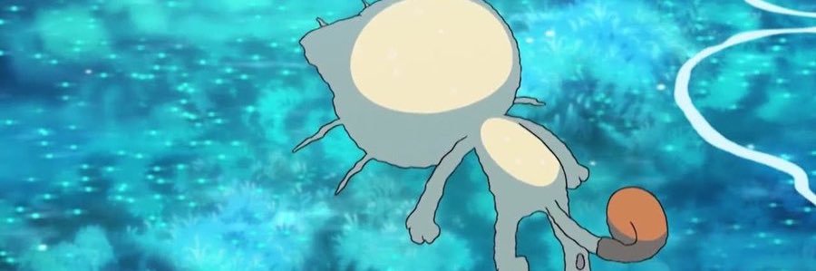 multiplecats's profile banner image