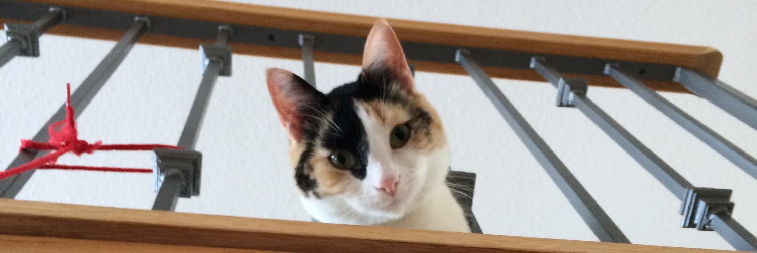 VMaddey's profile banner image