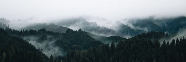 KaylaaaWickline's profile banner image