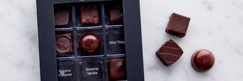 fevechocolates banner