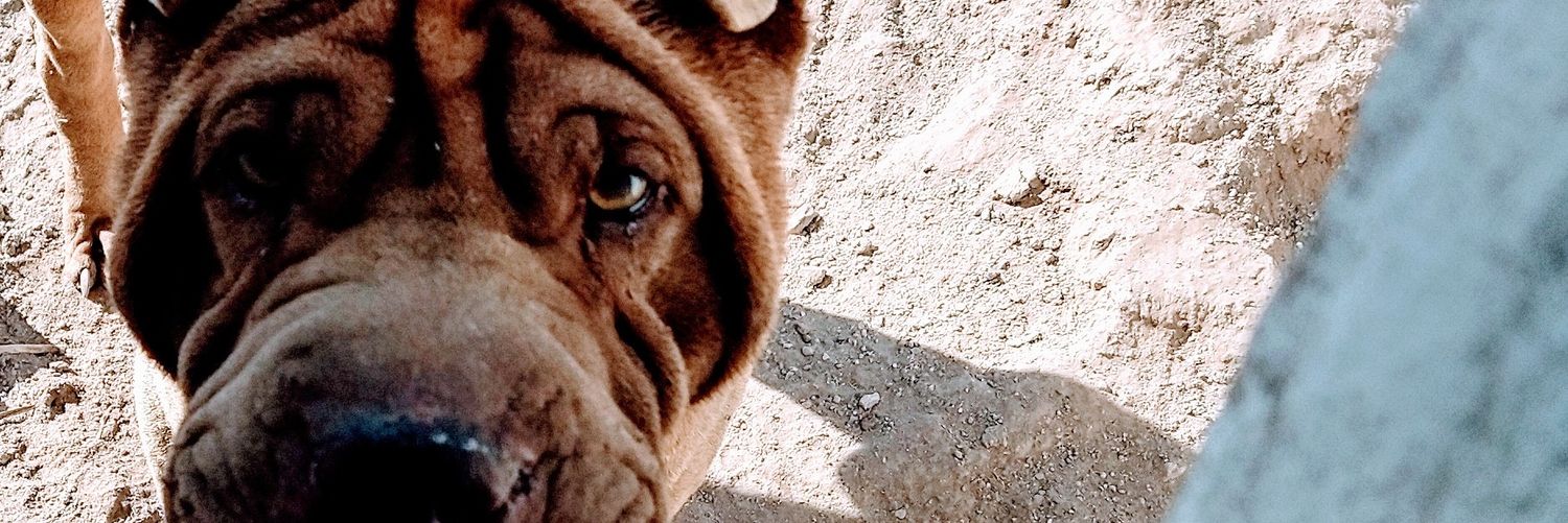 CatiAcuna's profile banner image