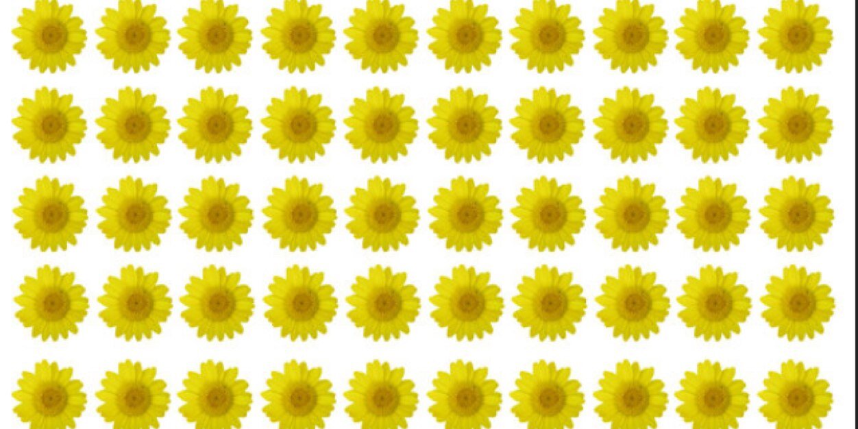SamGiordano_'s profile banner image