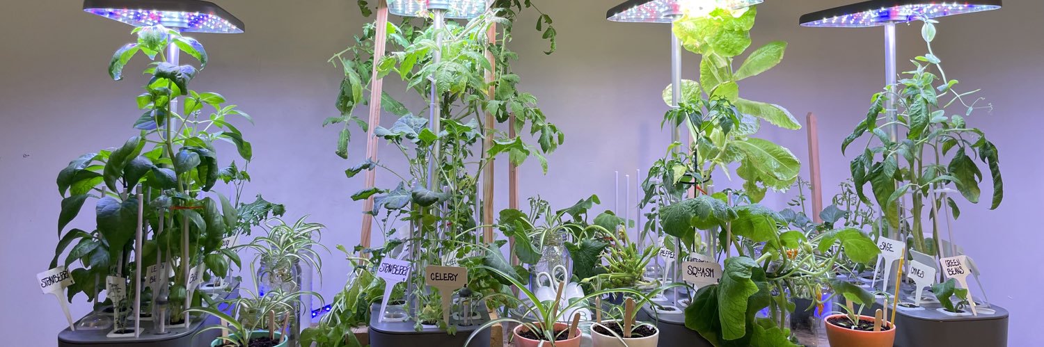 Sunny ☀️ Nikki banner