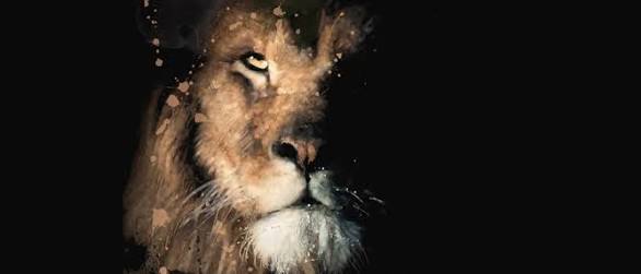 eutheusdias's profile banner image