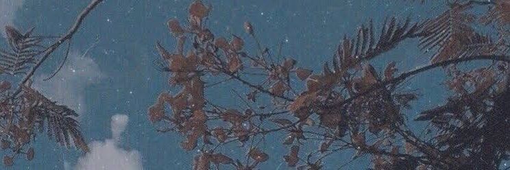 oceanloey's profile banner image