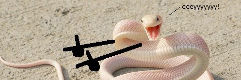 frau von flatterfels. banner