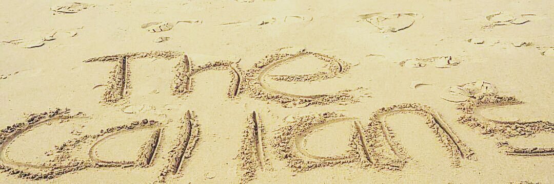 Leanne Callan banner