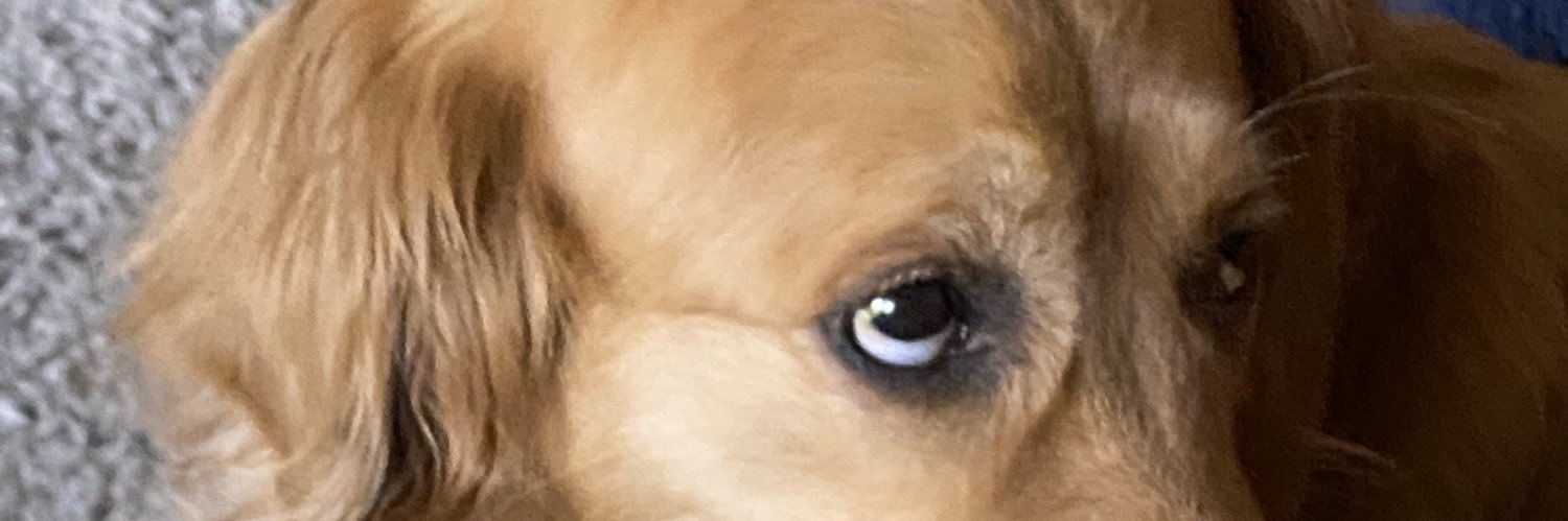 FlowersAndrew's profile banner image