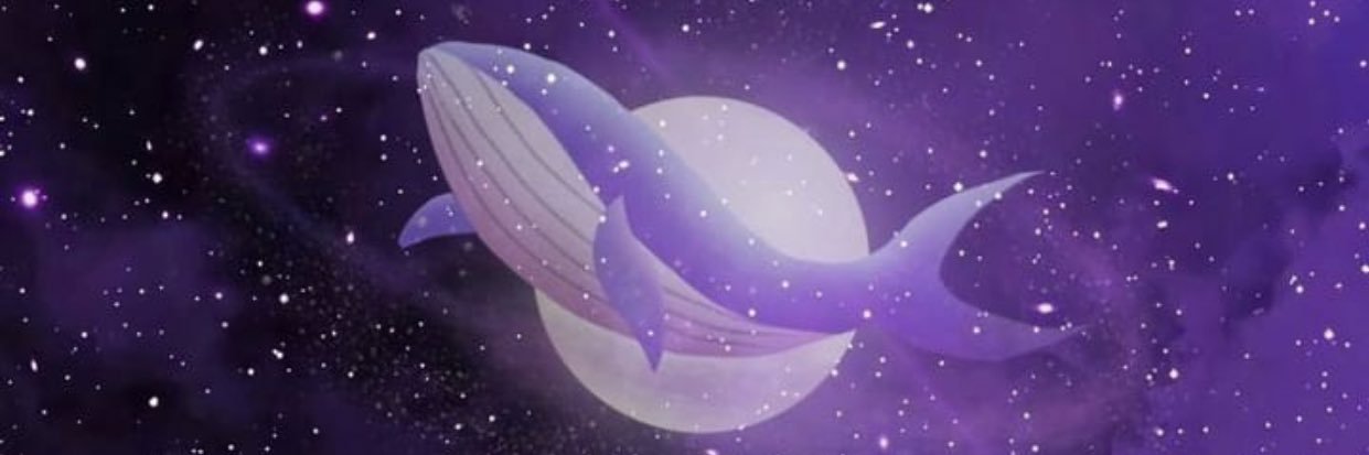 mapaulaz's profile banner image