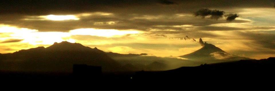 narura's profile banner image