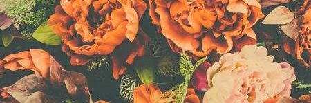 CharlotteLindz's profile banner image