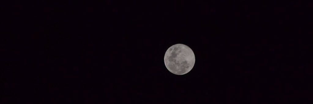 CodyBleacher's profile banner image