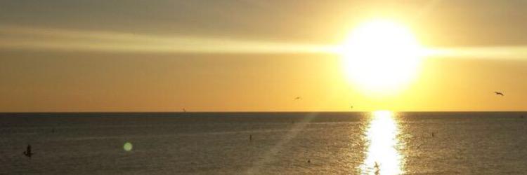 erickson_chels's profile banner image